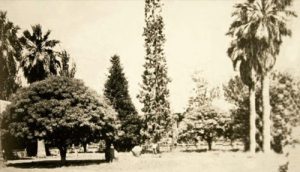 Archivo:La plaza de Nancagua a comienzos del siglo XX.jpg