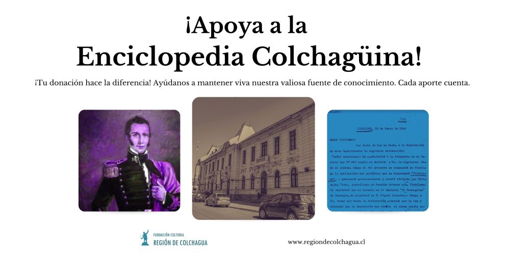 Realiza una donación a la Enciclopedia Colchagüina para poder preservarla